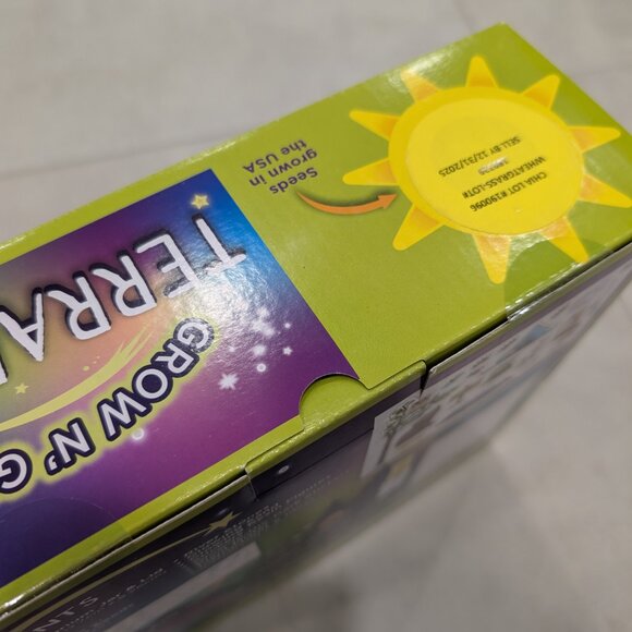 Creativity for Kids Grow N Glow Terrarium: Science Kit for Kids, Educational Toy - Picture 3 of 4